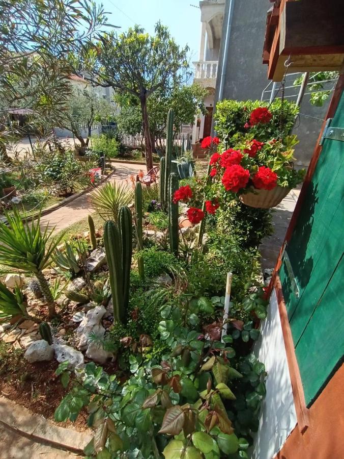 Cactus House Gaspar Задар Екстериор снимка