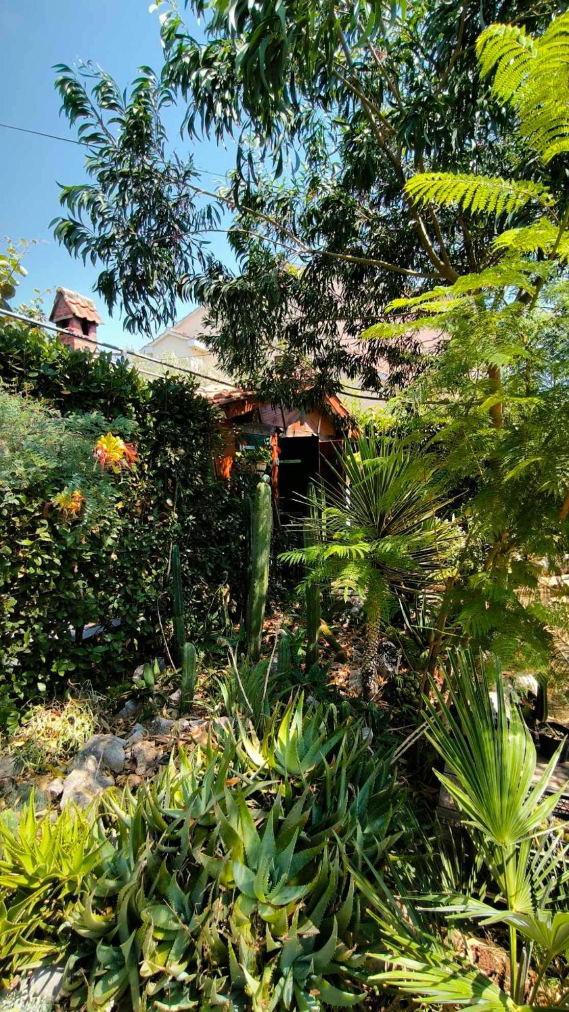 Cactus House Gaspar Задар Екстериор снимка